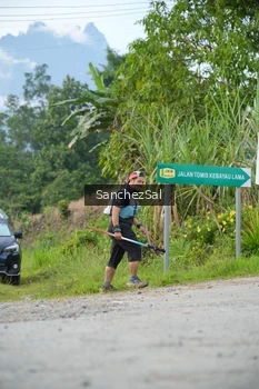 Runner Photo 2606396