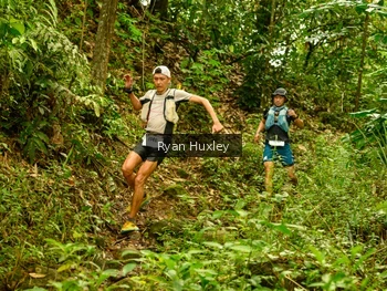 Runner Photo 2608119