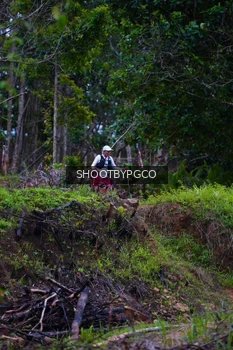Runner Photo 2612689