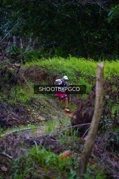 Runner Photo 2612694