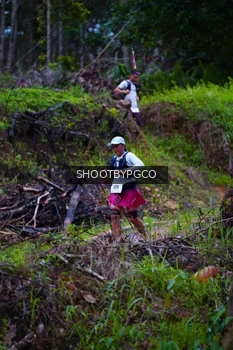 Runner Photo 2612697