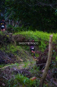 Runner Photo 2612703