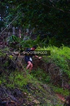 Runner Photo 2612707