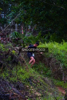 Runner Photo 2612708