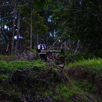 Runner Photo 2612743