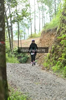 Runner Photo 2631211
