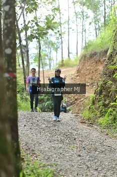 Runner Photo 2631651