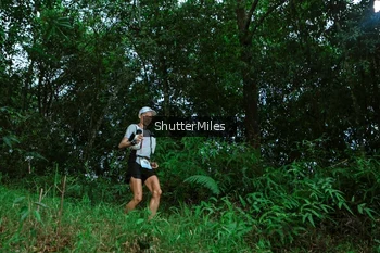 Runner Photo 2635162