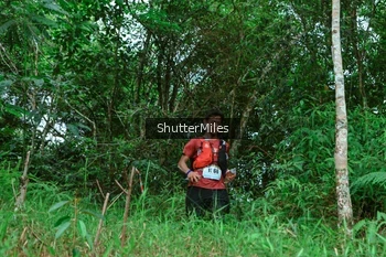 Runner Photo 2635175