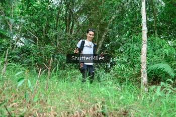 Runner Photo 2635202