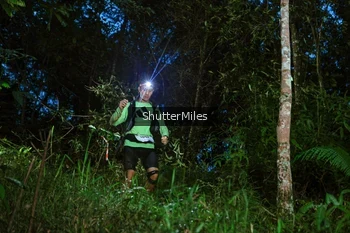 Runner Photo 2635231