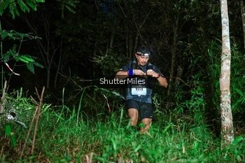 Runner Photo 2635246