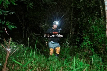 Runner Photo 2635389