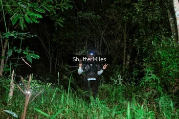 Runner Photo 2635390