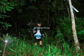 Runner Photo 2635392