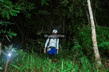 Runner Photo 2635394