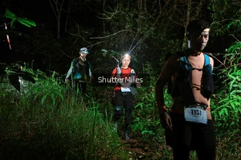 Runner Photo 2636378