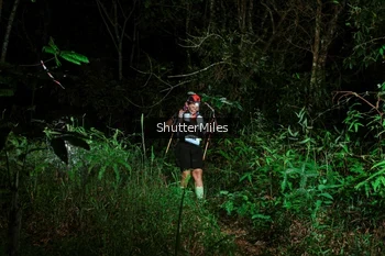 Runner Photo 2636398