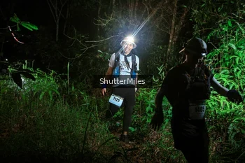 Runner Photo 2636404