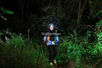 Runner Photo 2636409