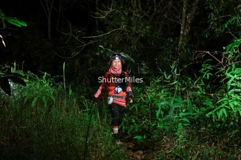 Runner Photo 2636411