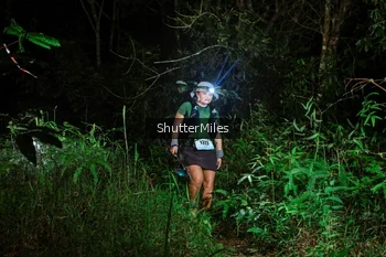 Runner Photo 2636496