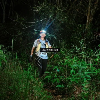 Runner Photo 2636514