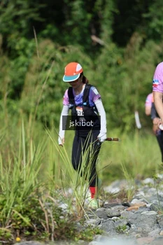 Runner Photo 2638944