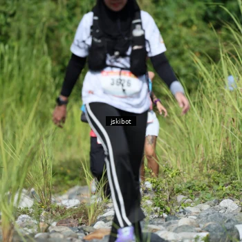 Runner Photo 2642127