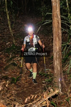 Runner Photo 2647445