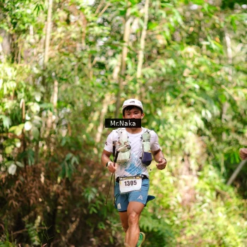 Runner Photo 2650860