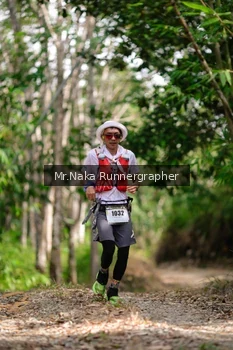 Runner Photo 2650929