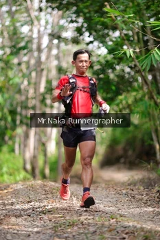 Runner Photo 2651005