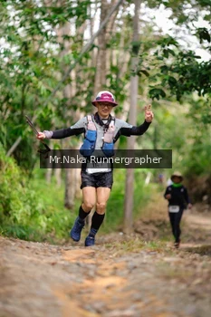 Runner Photo 2651131