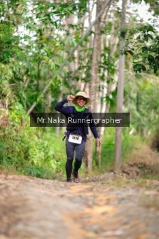 Runner Photo 2651134