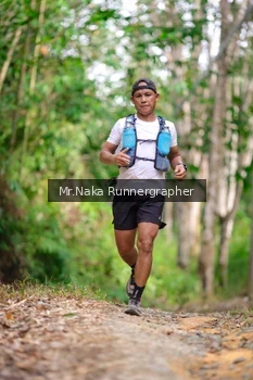 Runner Photo 2651142