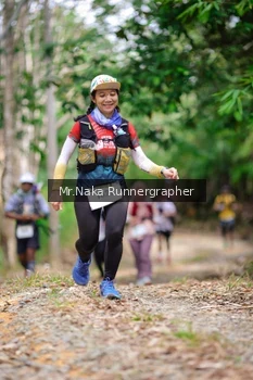 Runner Photo 2651486