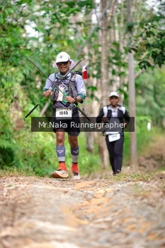 Runner Photo 2651489