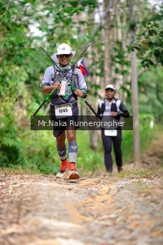 Runner Photo 2651490