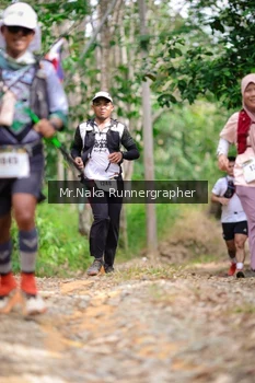 Runner Photo 2651491