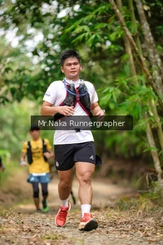 Runner Photo 2651493