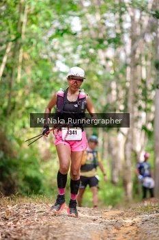 Runner Photo 2651504