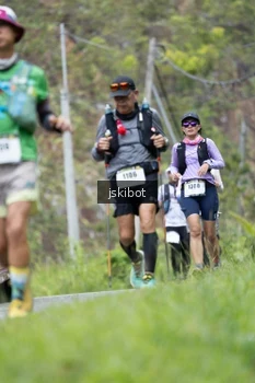 Runner Photo 2652579