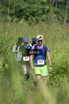 Runner Photo 2654904