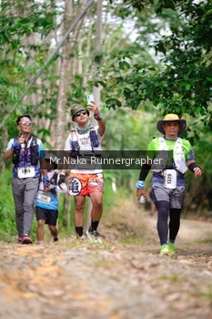 Runner Photo 2657524