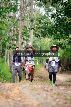 Runner Photo 2657526