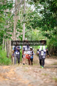 Runner Photo 2657527