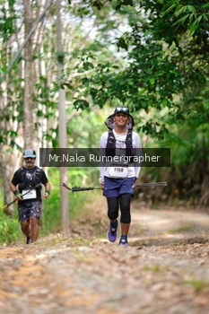Runner Photo 2657541