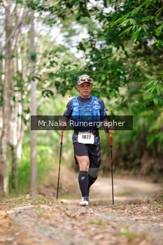 Runner Photo 2657549
