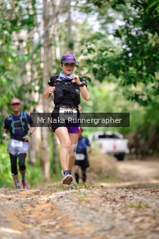 Runner Photo 2657554